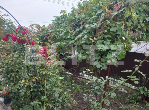 Casa de vânzare 13 camere Nord Est - 96361CV | BLITZ Suceava | Poza1