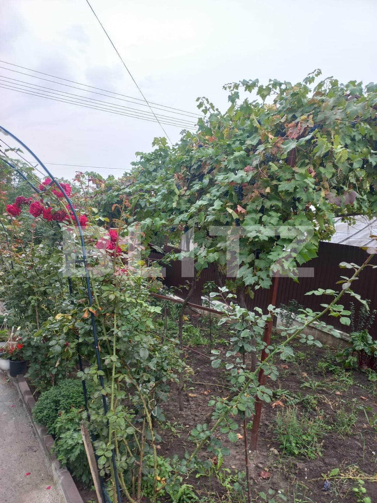 Casa de vânzare 13 camere Nord Est - 96361CV | BLITZ Suceava | Poza1