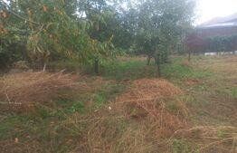 Casa batraneasca, individuala ,80 mp, 600 mp teren, zona Itcani