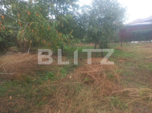 Casa de vânzare 2 camere Itcani - 96362CV | BLITZ Suceava | Poza9