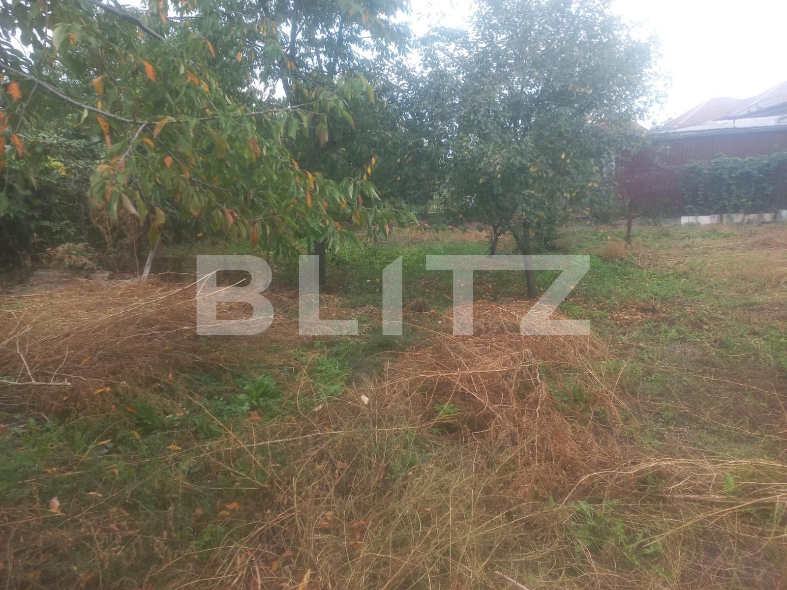 Casa de vânzare 2 camere Itcani - 96362CV | BLITZ Suceava | Poza9