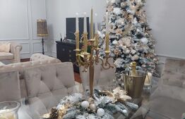 Casa de 160 mp utili, finisaje deosebite, mobilata, in zona Burdujeni