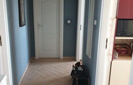 Apartament 4 camere, 152 mp, mobilat/utilat, zona Piata Mare Centru