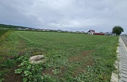 Teren intravilan, 140000 mp, zona Ipotesti