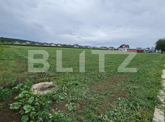 Teren de vânzare Ipotesti - 96659TV | BLITZ Suceava | Poza2