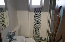 Garsonieră 1 cameră, 28 mp, mobilată/utilată, zona Synevo, cartier Mărășești