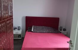 2 Casute batranesti ,individuale, 89 mp utili, 1689 mp teren, zona Burdujeni sat