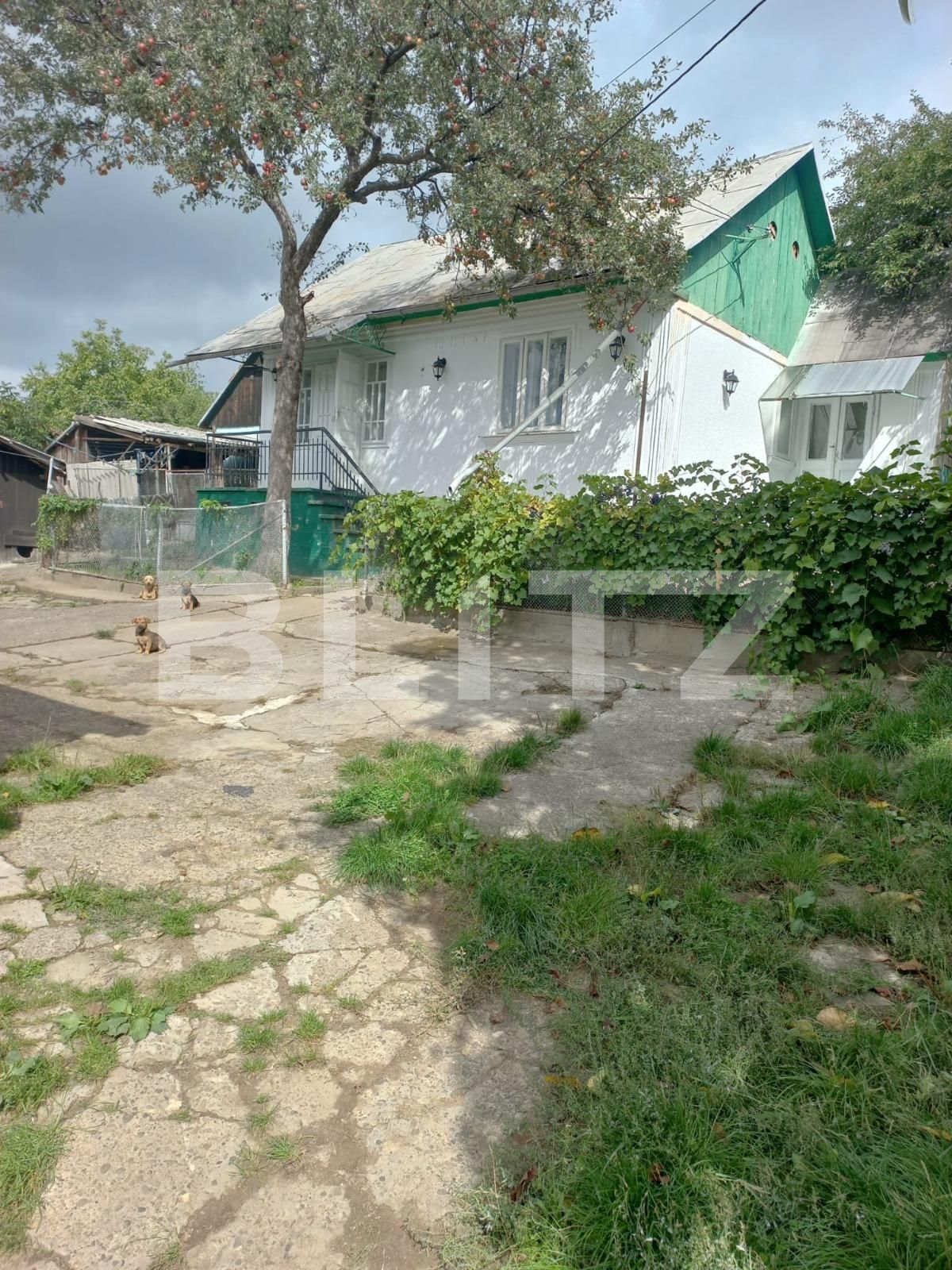 Casa de vânzare 3 camere Burdujeni - 96663CV | BLITZ Suceava | Poza3