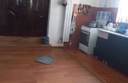 Casa individuala, 420 mp, 1000 mp teren, zona Scheia