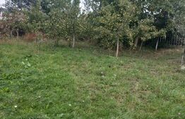 Casa individuala, 420 mp, 1000 mp teren, zona Scheia