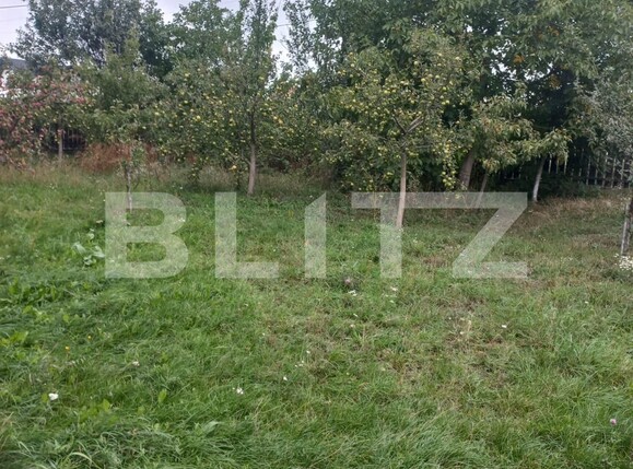 Casa de vânzare 6 camere Scheia - 96714CV | BLITZ Suceava | Poza4