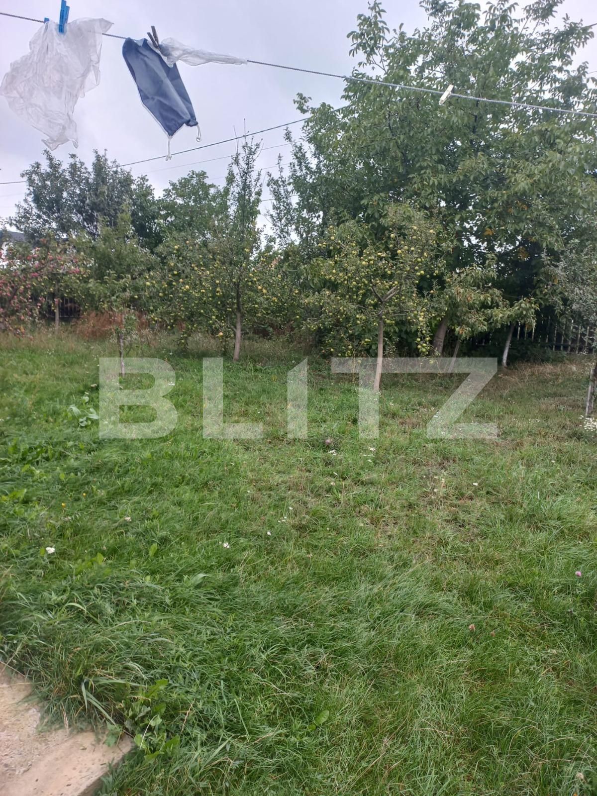 Casa de vânzare 6 camere Scheia - 96714CV | BLITZ Suceava | Poza4