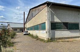 Spatiu industrial cu potential, 1100 mp si teren, Suceava