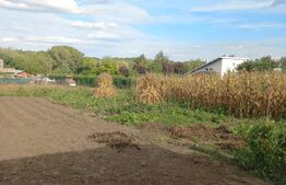 Teren intravilan, 1164 mp, zona Ipotesti