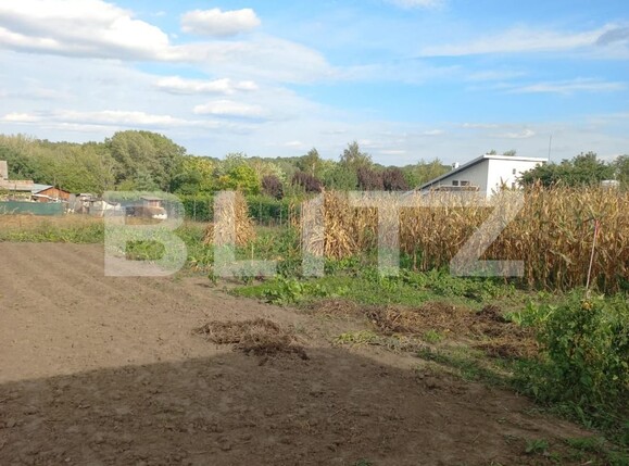 Teren de vânzare Ipotesti - 96830TV | BLITZ Suceava | Poza3