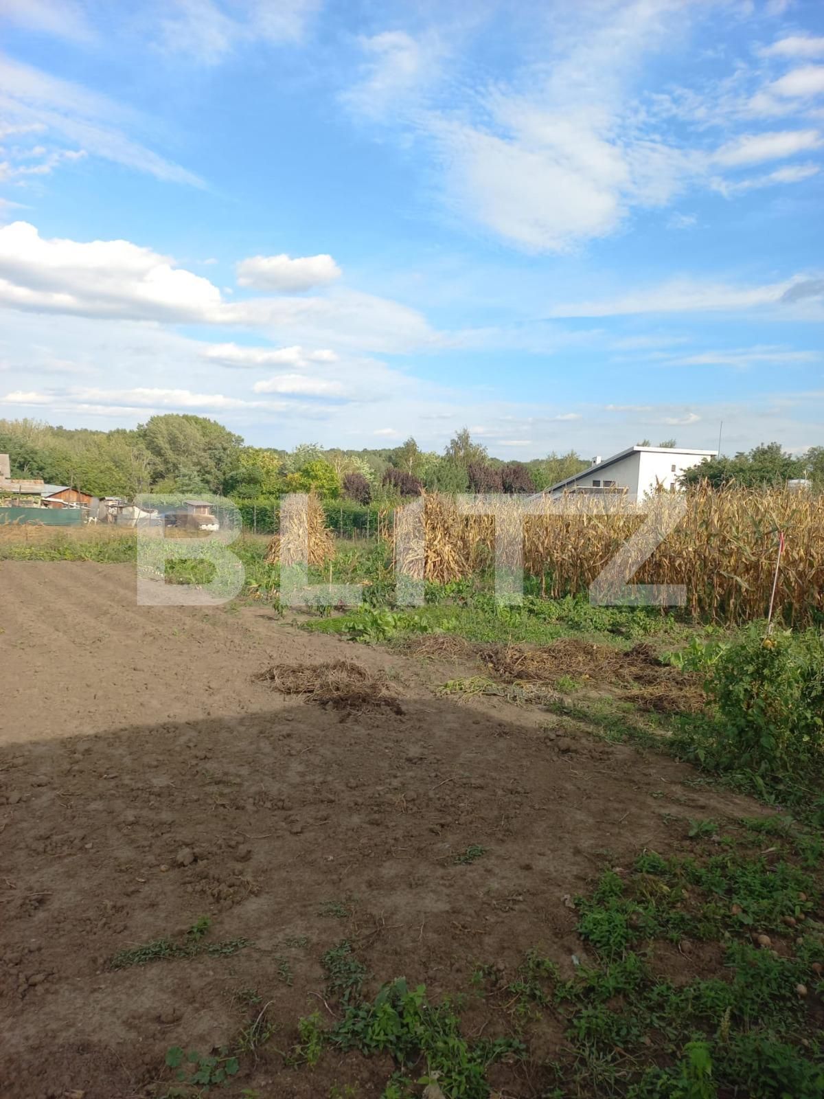 Teren de vânzare Ipotesti - 96830TV | BLITZ Suceava | Poza3