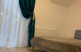 Investitie!Casa cu chiriasi de 90 mp, teren 250 mp, mobilata si utilata, terasa, Zona Ipotesti