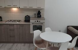 Investitie!Casa cu chiriasi de 90 mp, teren 250 mp, mobilata si utilata, terasa, Zona Ipotesti