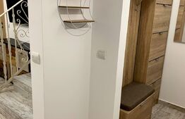 Investitie!Casa cu chiriasi de 90 mp, teren 250 mp, mobilata si utilata, terasa, Zona Ipotesti