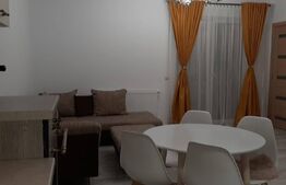 Investitie!Casa cu chiriasi de 90 mp, teren 250 mp, mobilata si utilata, terasa, Zona Ipotesti