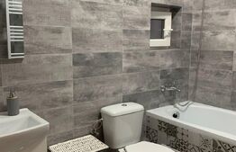 Investitie!Casa cu chiriasi de 90 mp, teren 250 mp, mobilata si utilata, terasa, Zona Ipotesti