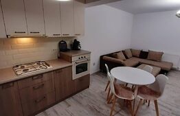 Investitie!Casa cu chiriasi de 90 mp, teren 250 mp, mobilata si utilata, terasa, Zona Ipotesti