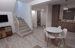 Investitie!Casa cu chiriasi de 90 mp, teren 250 mp, mobilata si utilata, terasa, Zona Ipotesti