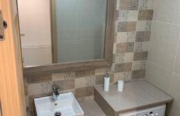 Investitie!Casa cu chiriasi de 90 mp, teren 250 mp, mobilata si utilata, terasa, Zona Ipotesti