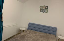 Investitie!Casa cu chiriasi de 90 mp, teren 250 mp, mobilata si utilata, terasa, Zona Ipotesti