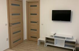 Investitie!Casa cu chiriasi de 90 mp, teren 250 mp, mobilata si utilata, terasa, Zona Ipotesti