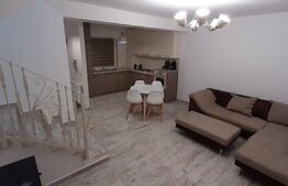 Investitie!Casa cu chiriasi de 90 mp, teren 250 mp, mobilata si utilata, terasa, Zona Ipotesti