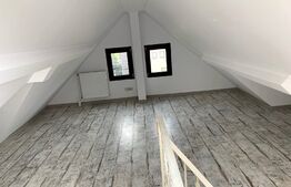 Investitie!Casa cu chiriasi de 90 mp, teren 250 mp, mobilata si utilata, terasa, Zona Ipotesti