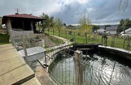 Ocazie!Duplex de lux, ultrafinisat, 420mp, teren 30 ari, cartier Moara cu afacere la cheie!