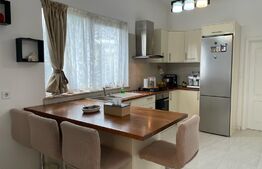 Ocazie!Duplex de lux, ultrafinisat, 420mp, teren 30 ari, cartier Moara cu afacere la cheie!