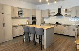 Ocazie!Duplex de lux, ultrafinisat, 420mp, teren 30 ari, cartier Moara cu afacere la cheie!