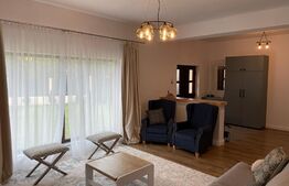 Ocazie!Duplex de lux, ultrafinisat, 420mp, teren 30 ari, cartier Moara cu afacere la cheie!