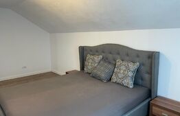 Ocazie!Duplex de lux, ultrafinisat, 420mp, teren 30 ari, cartier Moara cu afacere la cheie!