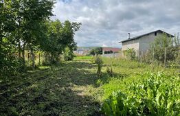 Casa 90 mp, la rosu, potential imens de dezvoltare , teren 18,6 ari, zona Tisauti