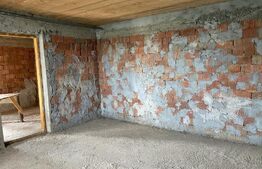 Casa 90 mp, la rosu, potential imens de dezvoltare , teren 18,6 ari, zona Tisauti