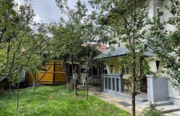 Casa 90 mp, la rosu, potential imens de dezvoltare , teren 18,6 ari, zona Tisauti