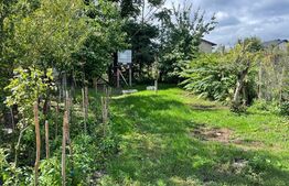 Casa 90 mp, la rosu, potential imens de dezvoltare , teren 18,6 ari, zona Tisauti