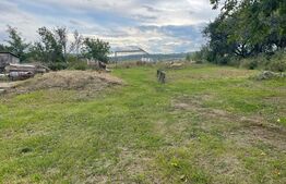 Ocazie unica, casa 70 mp, teren 8850 mp in Calugareni - Adancata