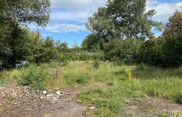 Teren intravilan, 1000 mp, zona de Sere Suceava 