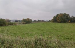 Casa batraneasca ,  individuala  , zona Itcani ,58 mp utili,1600 mp teren