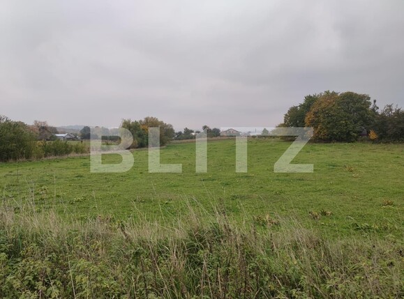 Casa de vânzare 2 camere Itcani - 97860CV | BLITZ Suceava | Poza3