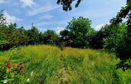 Casa individuala , 7 camere ,490 mp utili si 1200 mp teren zona Itcani