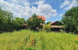 Casa individuala , 7 camere ,490 mp utili si 1200 mp teren zona Itcani