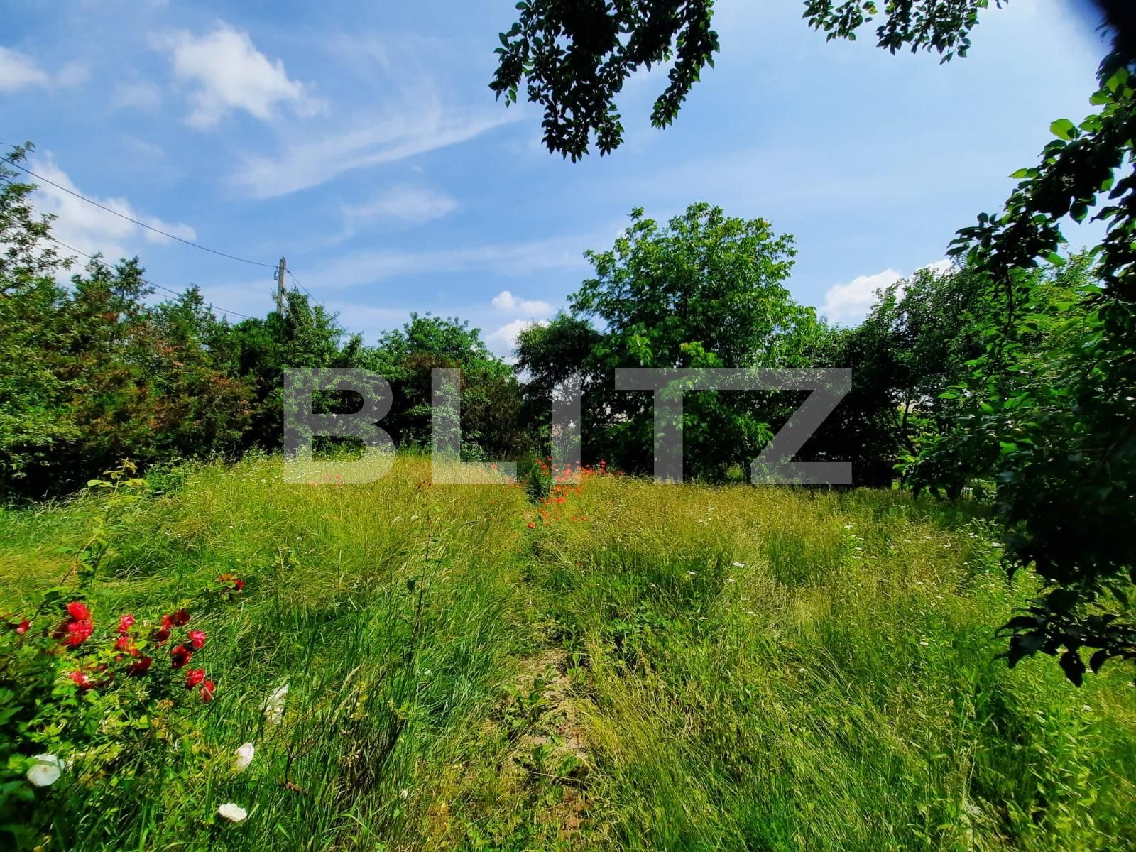 Casa de vânzare 7 camere Itcani - 98025CV | BLITZ Suceava | Poza6