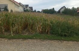 Teren intravilan, 2000 mp, zona Ipotesti