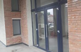 Spatiu comercial, Premium, Renovat Recent, 690 mp, zona Centrală